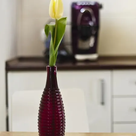 Apartment Amaranth